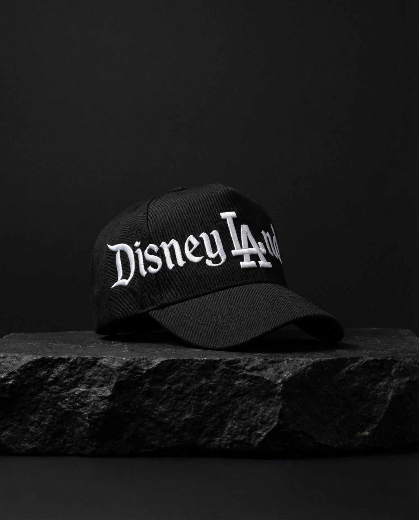 Dland 5 Panel Snapback in Black