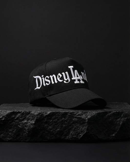 Dland 5 Panel Snapback in Black